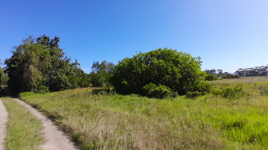 0 Bedroom Property for Sale in Wittedrift AH Western Cape